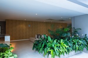 Image 80 - 923910
