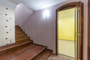 Image 11 - 923913