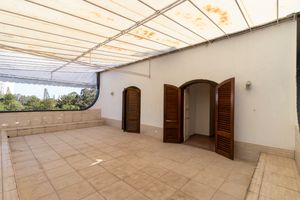 Image 31 - 923913