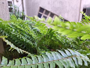 Image 10 - 923920