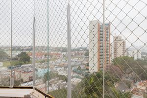 Image 8 - 923931