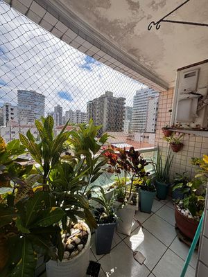 Image 4 - 923985