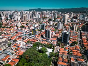 Image 38 - 923990