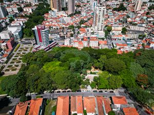 Image 32 - 923990