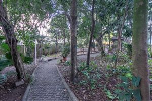 Image 30 - 923991