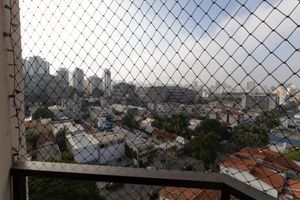 Image 19 - 924054