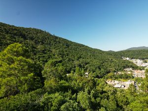 Image 9 - 924067