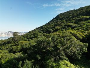 Image 10 - 924067