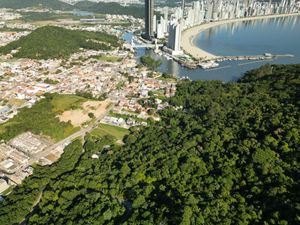 Image 4 - 924067