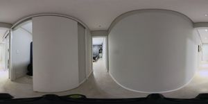Image 39 - 924088