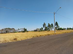 Image 6 - 924141