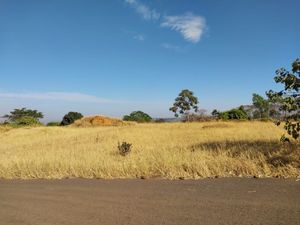 Image 18 - 924141
