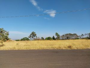 Image 12 - 924141