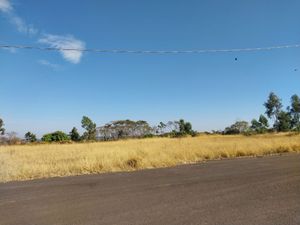 Image 13 - 924141