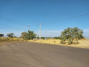 Image 4 - 924141