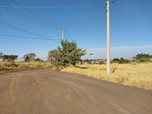 Image 7 - 924141