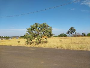 Image 9 - 924141