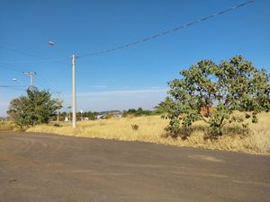 Image 15 - 924141
