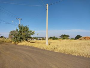 Image 17 - 924141