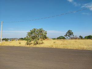 Image 8 - 924141