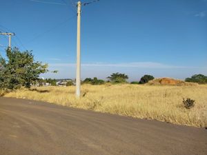 Image 10 - 924141