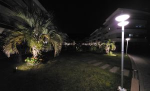 Image 38 - 924153