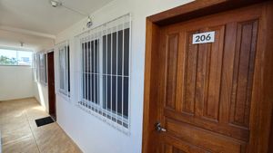 Image 35 - 924159