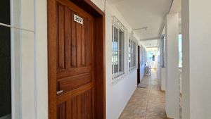 Image 15 - 924159