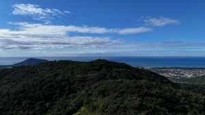 Image 3 - 924163