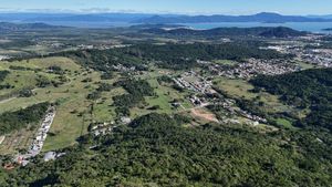 Image 4 - 924163