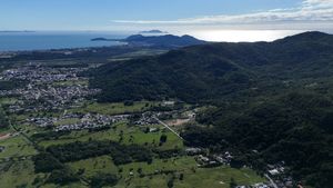 Image 12 - 924163