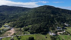 Image 5 - 924163