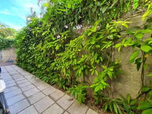 Image 27 - 924165