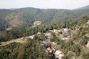 Image 4 - 924175