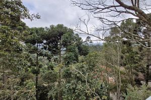 Image 24 - 924175