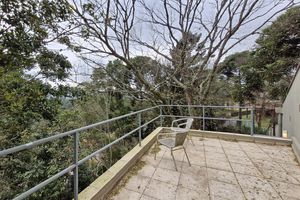 Image 23 - 924175