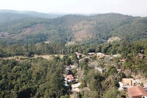 Image 5 - 924175