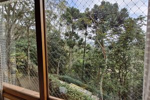 Image 14 - 924175