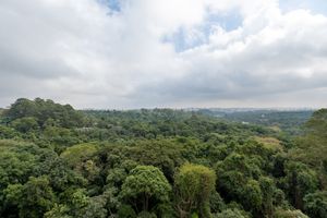 Image 19 - 924199