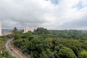 Image 20 - 924199