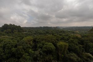 Image 25 - 924199