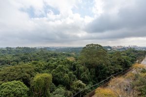 Image 23 - 924199