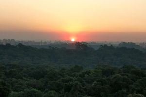Image 21 - 924199