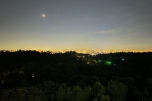 Image 22 - 924199