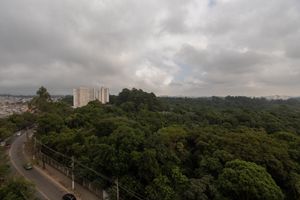 Image 26 - 924199