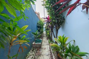 Image 41 - 924202