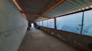 Image 17 - 924215