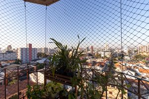 Image 24 - 924246