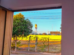 Image 79 - 924336