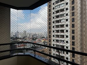 Image 8 - 924375